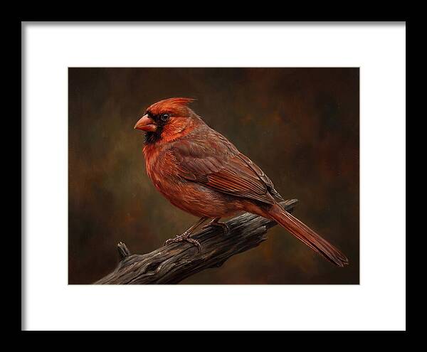 Cardinal Perched On Branch
