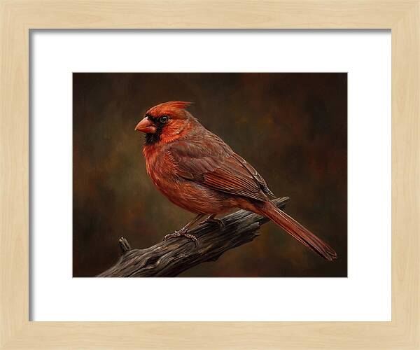 Cardinal Perched On Branch