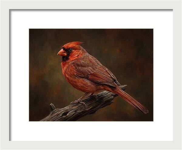 Cardinal Perched On Branch
