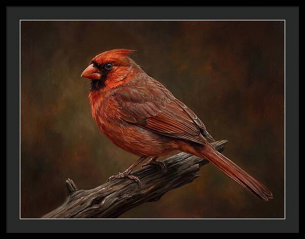 Cardinal Perched On Branch