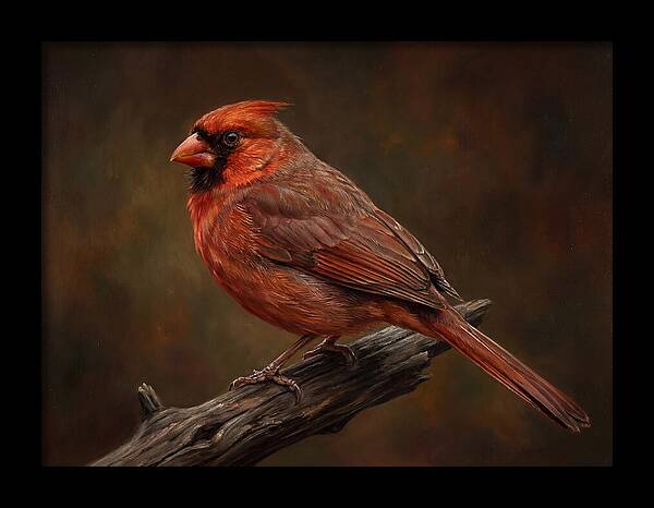 Cardinal Perched On Branch