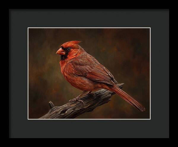 Cardinal Perched On Branch
