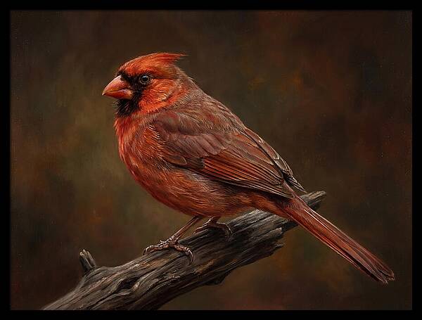 Cardinal Perched On Branch