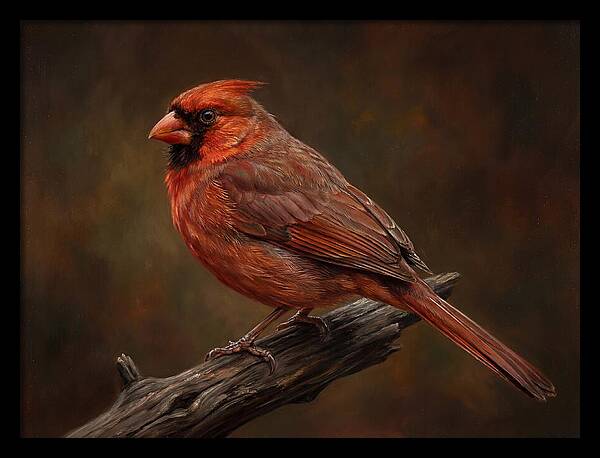 Cardinal Perched On Branch