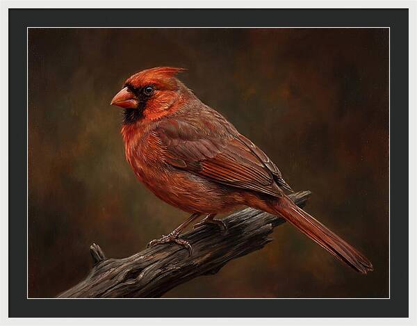 Cardinal Perched On Branch