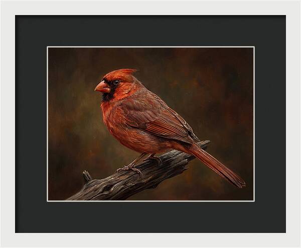 Cardinal Perched On Branch