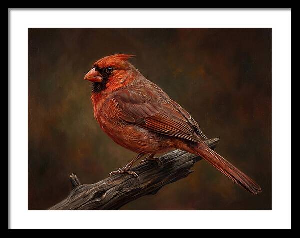 Cardinal Perched On Branch