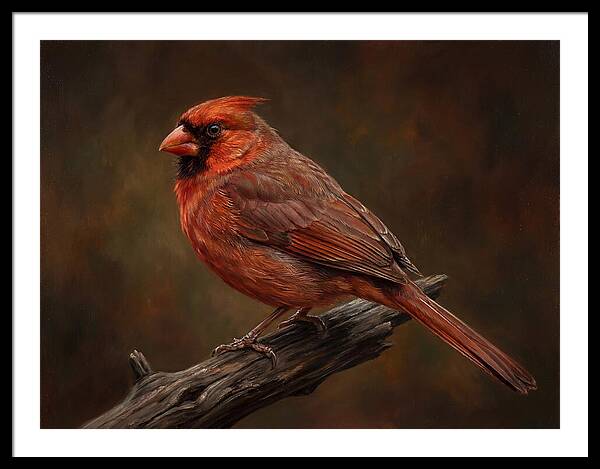 Cardinal Perched On Branch
