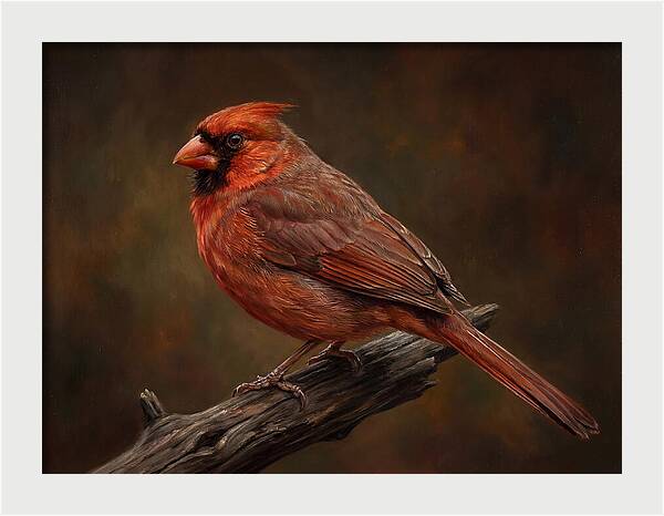 Cardinal Perched On Branch