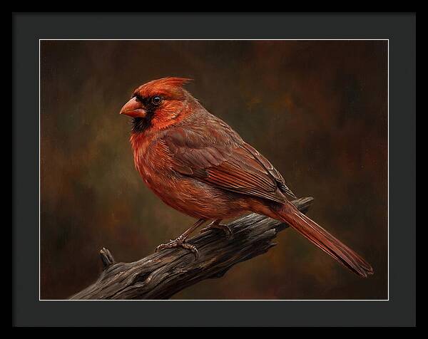 Cardinal Perched On Branch