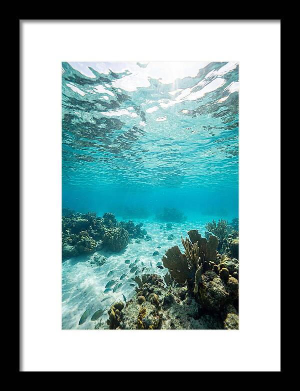 Caribbean Clear Waters