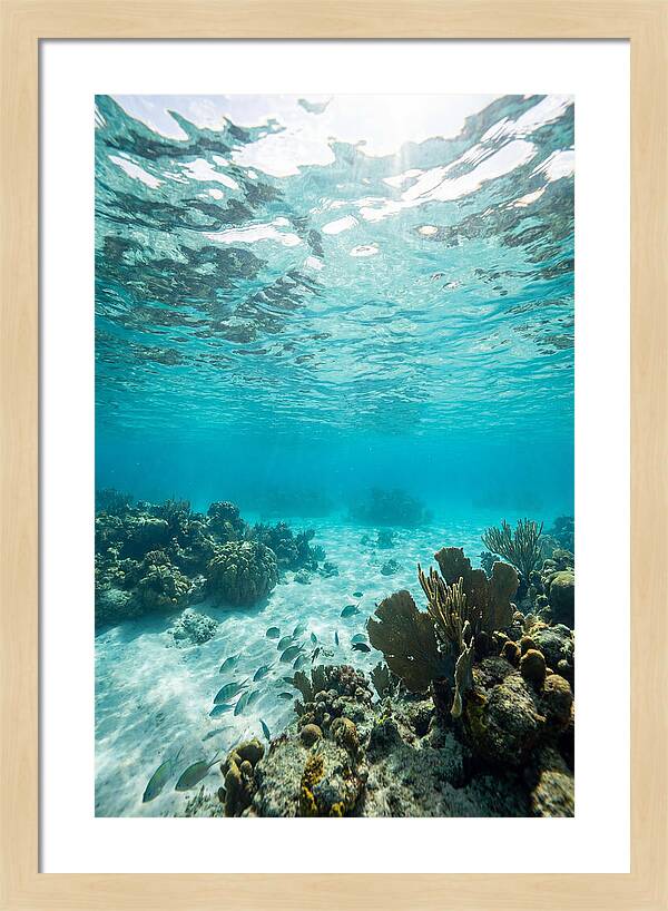 Caribbean Clear Waters