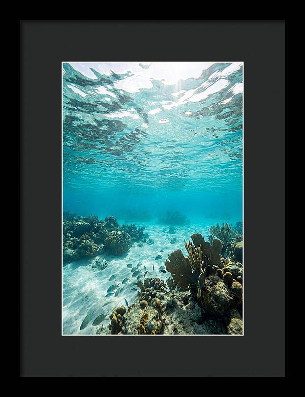 Caribbean Clear Waters