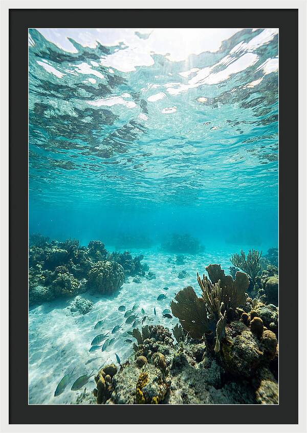 Caribbean Clear Waters