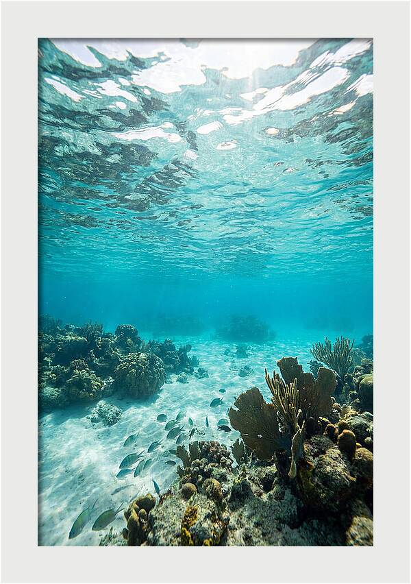 Caribbean Clear Waters