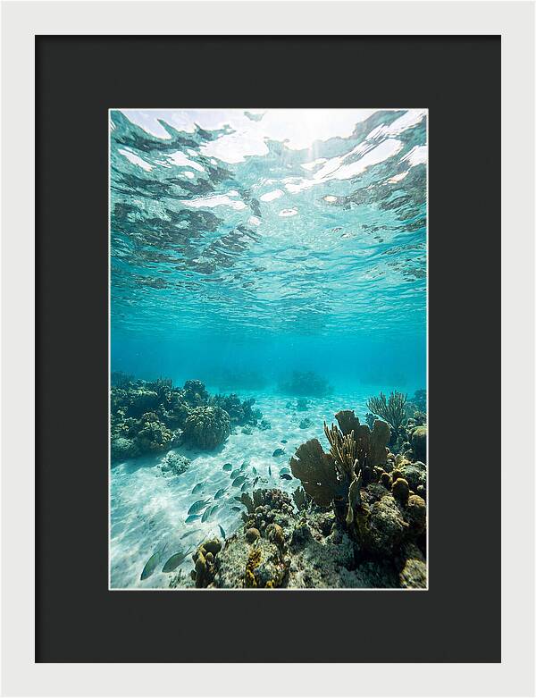 Caribbean Clear Waters