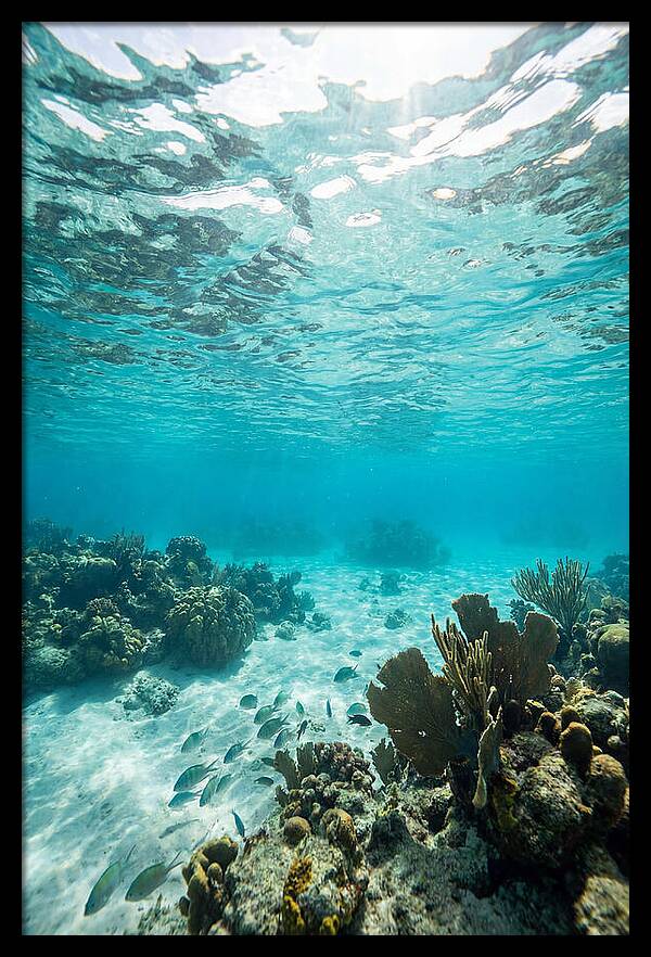 Caribbean Clear Waters