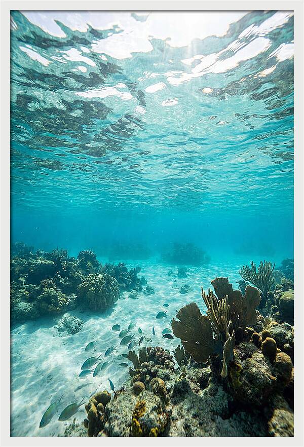 Caribbean Clear Waters