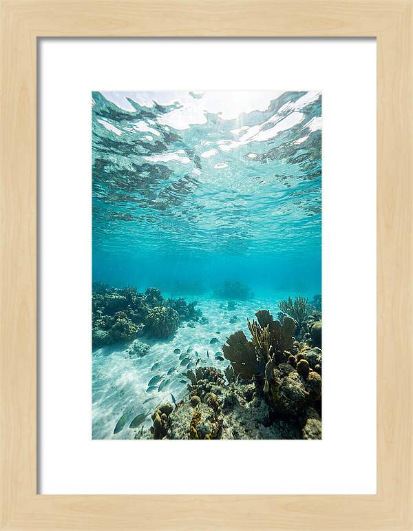 Caribbean Clear Waters