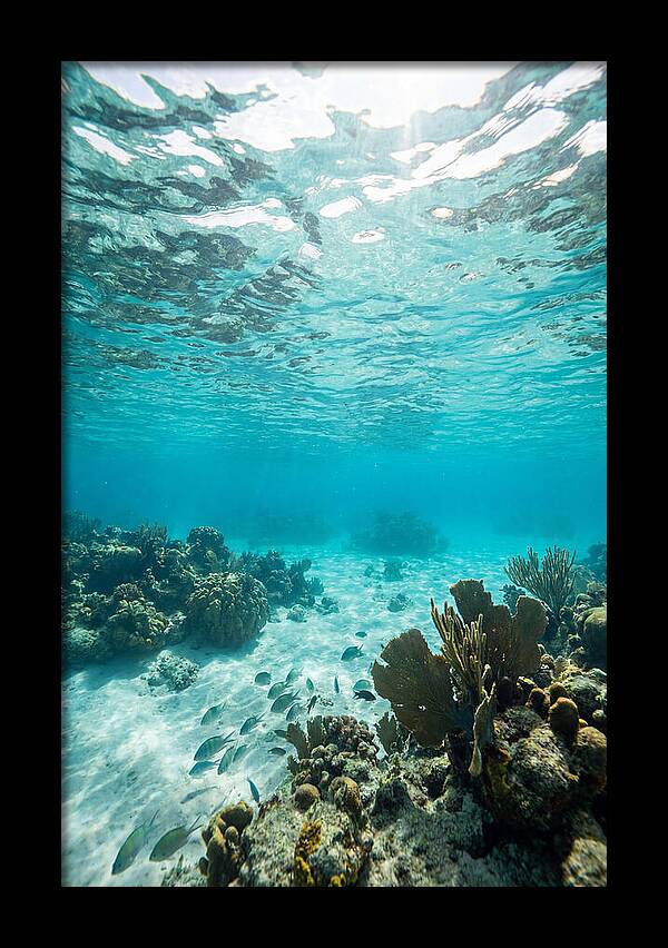 Caribbean Clear Waters