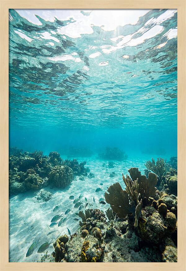 Caribbean Clear Waters