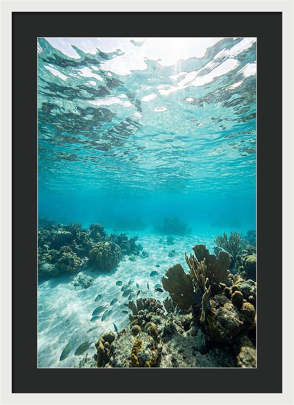 Caribbean Clear Waters