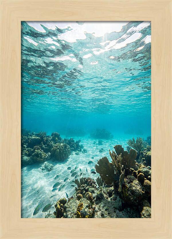 Caribbean Clear Waters