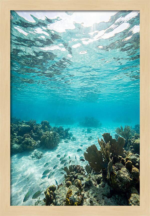 Caribbean Clear Waters