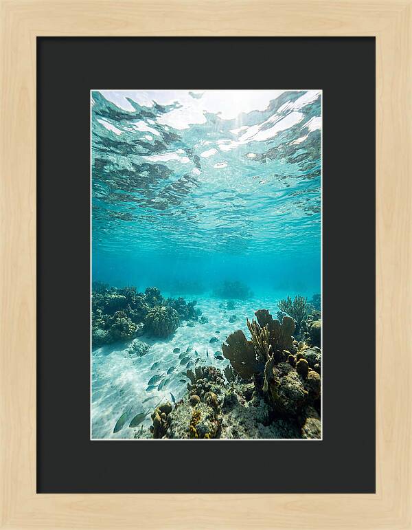 Caribbean Clear Waters