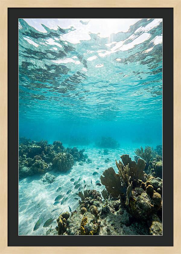 Caribbean Clear Waters