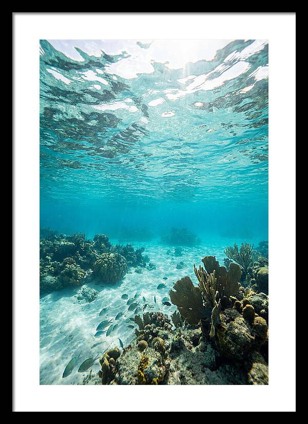 Caribbean Clear Waters
