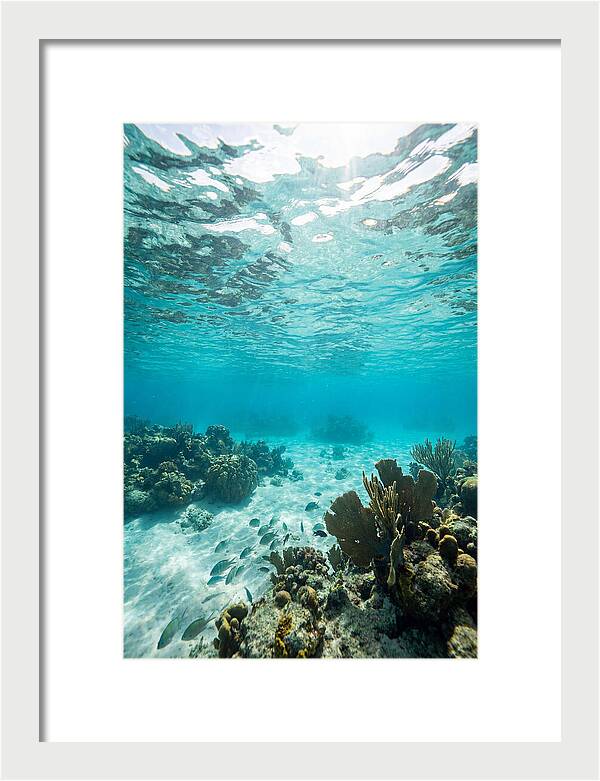 Caribbean Clear Waters