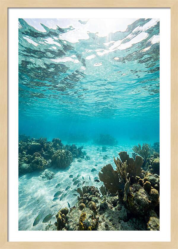Caribbean Clear Waters