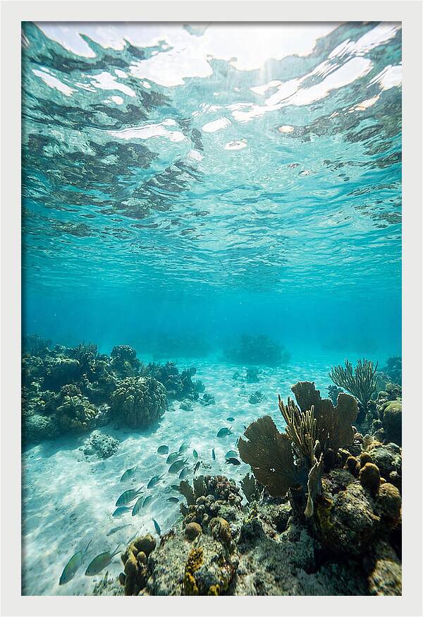 Caribbean Clear Waters