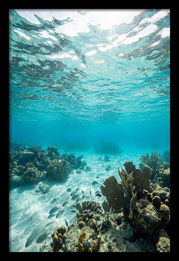 Caribbean Clear Waters