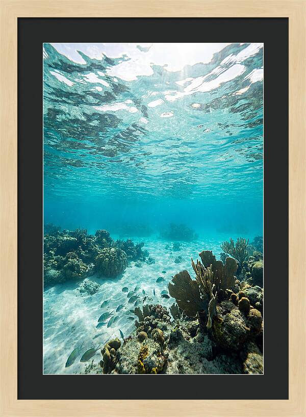 Caribbean Clear Waters