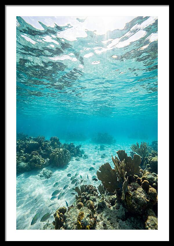 Caribbean Clear Waters