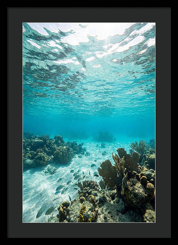 Caribbean Clear Waters