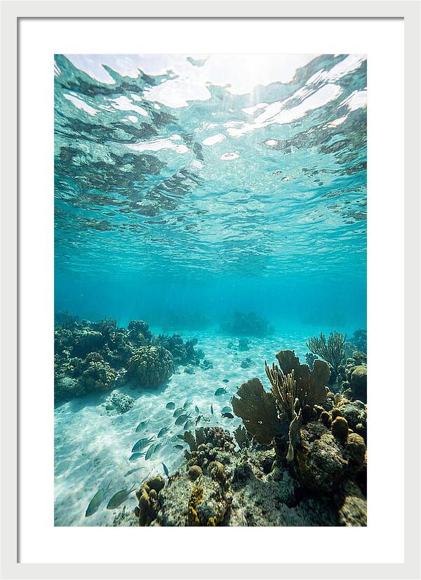 Caribbean Clear Waters