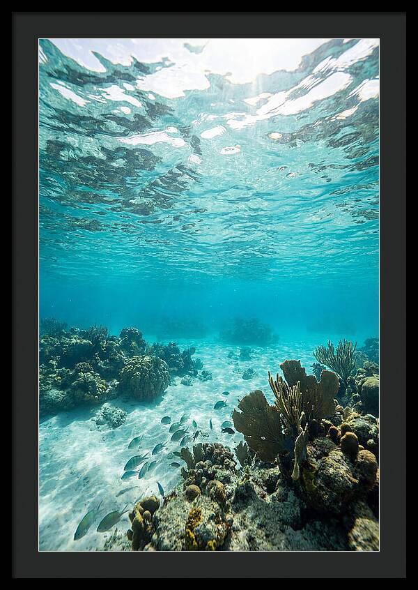 Caribbean Clear Waters