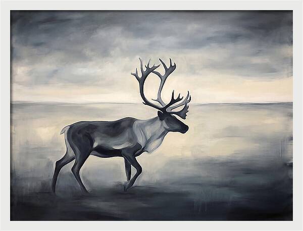 Caribou In Monochrome
