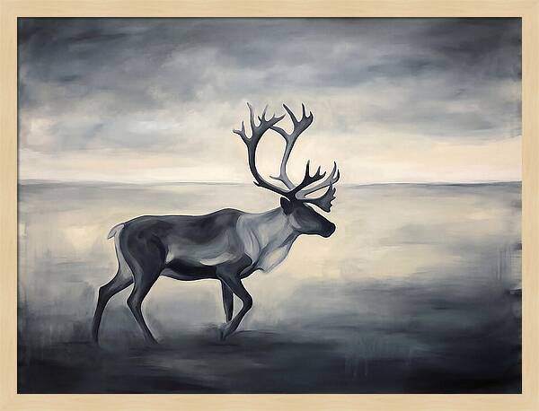 Caribou In Monochrome