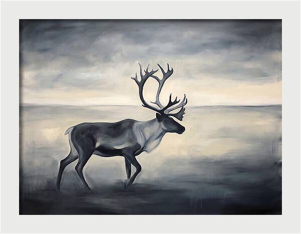 Caribou In Monochrome