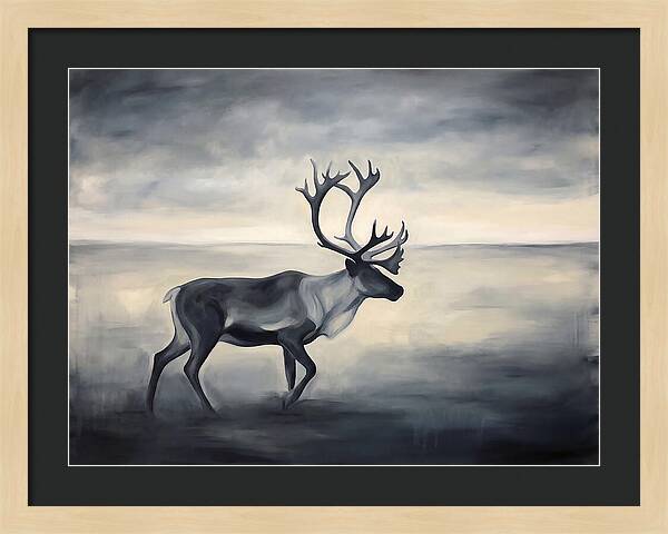 Caribou In Monochrome