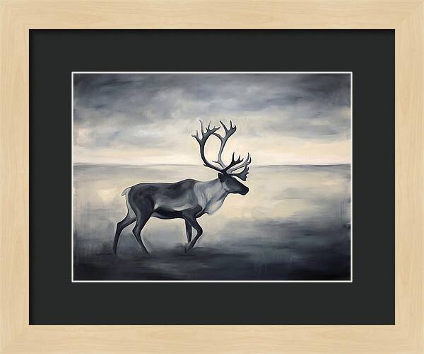 Caribou In Monochrome