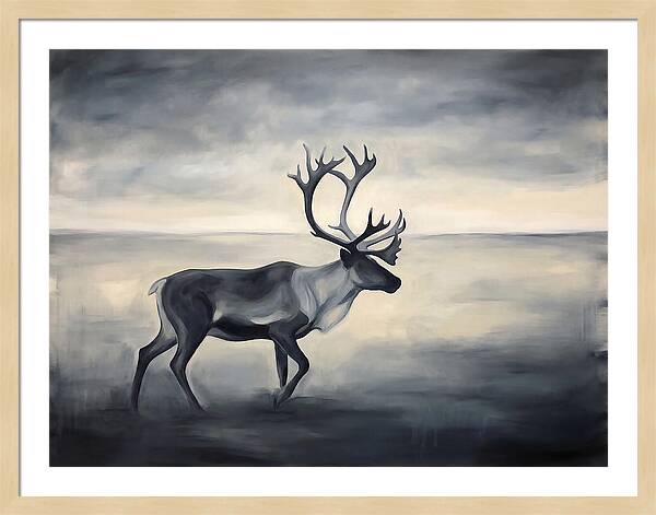 Caribou In Monochrome