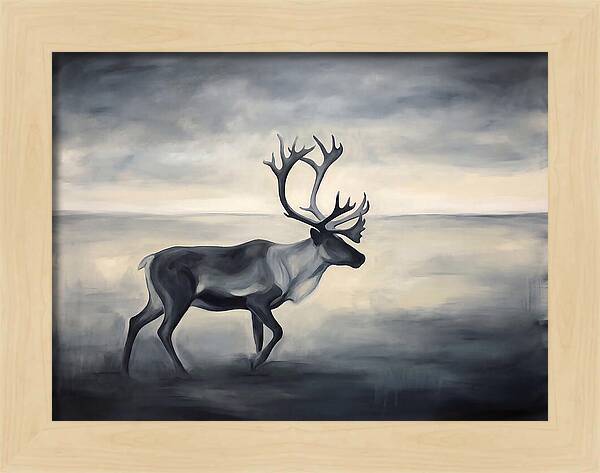 Caribou In Monochrome