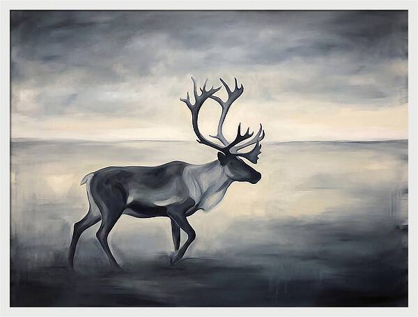 Caribou In Monochrome