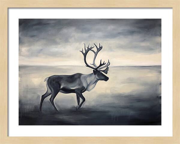 Caribou In Monochrome