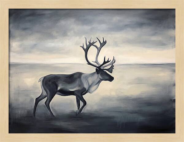 Caribou In Monochrome